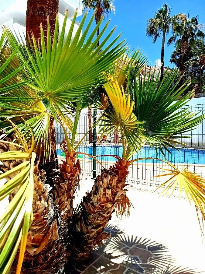 Parque Cattleya Tenerife Playa de las Americas  Spain